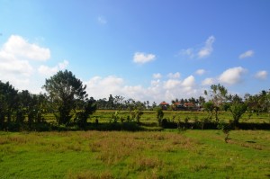 Погода на Бали в июле