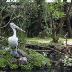 Парк рептилий на Бали