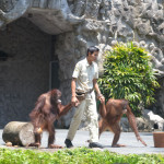 Пакетная экскурсия "Дракон"