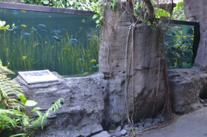 Аквариум в Марин Парк