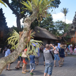 Экскурсия по ремесленным центрам Бали