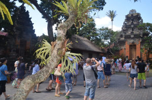 Ремесленные центры на Бали