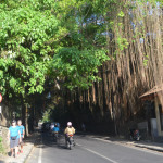 Убуд Улица в Убуд