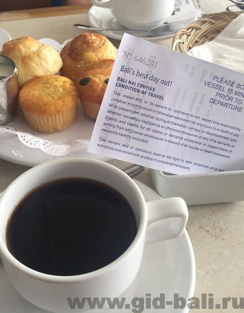 бали дельфины в море