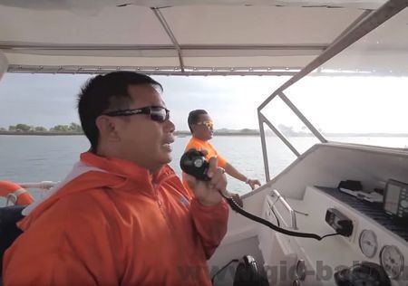 прогулка с дельфинами бали