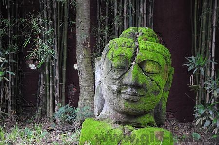 сафари парк бали