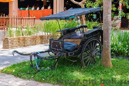 морской парк и сафари парк бали