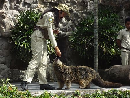 Шоу со зверями