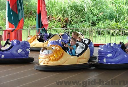 катание детей на машинках