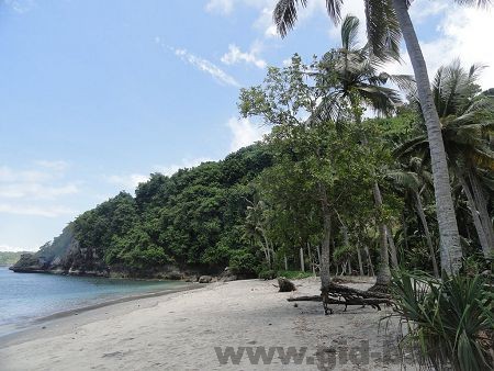 нуса пенида индонезия