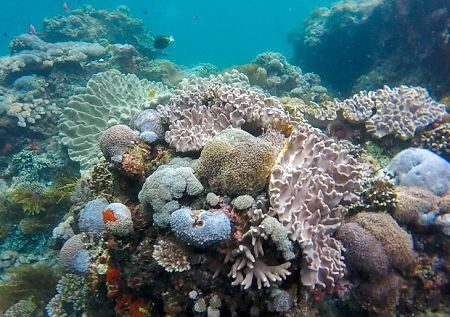 нуса пенида тур