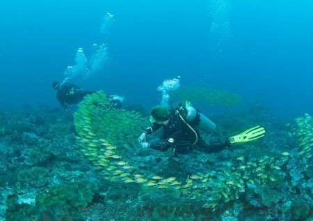 тур на нуса пенида бали