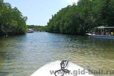 тур нуса ченинган