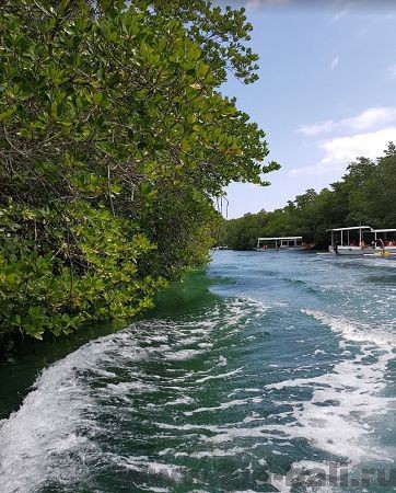 тур на нуса ченинган