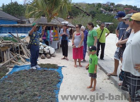 тур на нуса лембонган