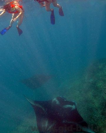 Тур на нуса пенида