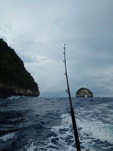 Троллинг на Бали